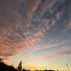 朋友圈 cover 高宇Slient