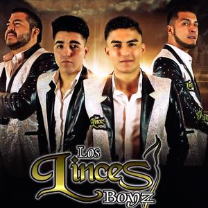 Desnudarte Despasito