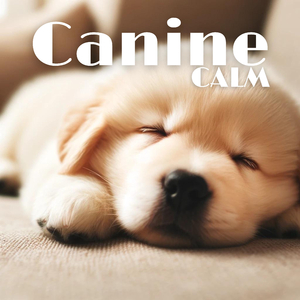 Harmony in the Kennel