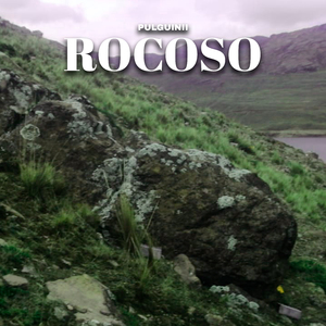 Rocoso