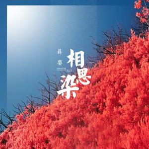 相思染 (DJ花哨版)