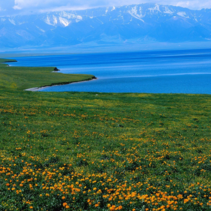 超级变速卡点 (BGM)