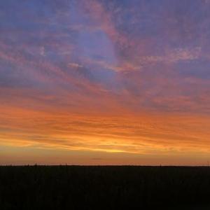 feeling_like_i_just_started_being_enough