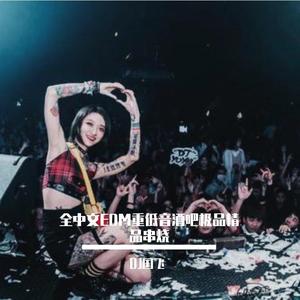 全中文EDM重低音酒吧极品精品串烧