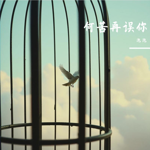 何苦再误你