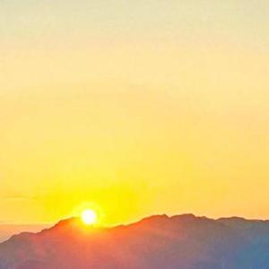 原谅我不可自拔