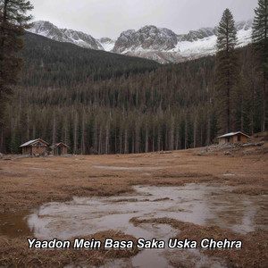 Yaadon Mein Basa Saka Uska Chehra