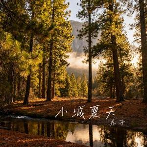 小城夏天 (Cover LBI利比)