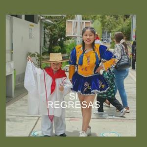 Si regresas