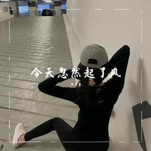 今夜忽然起了风(抖音完整版)