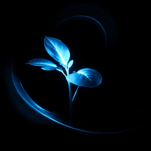 A Stroll Without a Destination