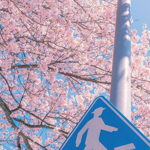 蓝色海（prod by MORROW）