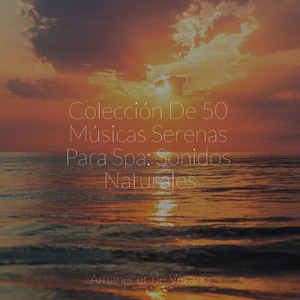 Niebla mística de ilusión