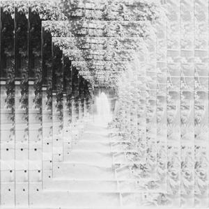 VISIONS PREMONITIONS