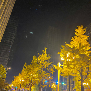 爱到最后都是恩情