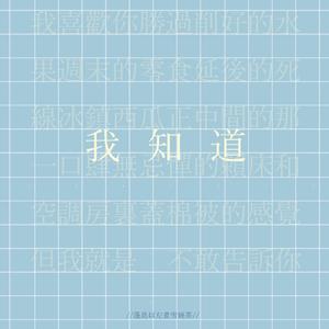 我喜欢你胜过削好的水果周末的零食延后的死线冰镇西瓜正中间的那一口肆无忌惮的赖床和空调房里盖棉被的感觉但我就是不敢告诉你（翻自 魏如萱）