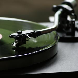 Twistin The Night Away