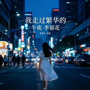我走过繁华的午夜