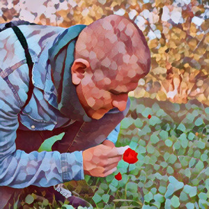 כלניות שלי ביט