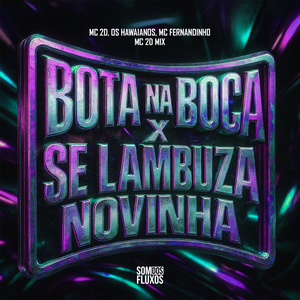 BOTA NA BOCA x SE LAMBUZA NOVINHA