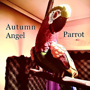 Parrot