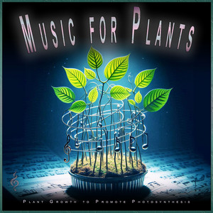 Plant Growth Music