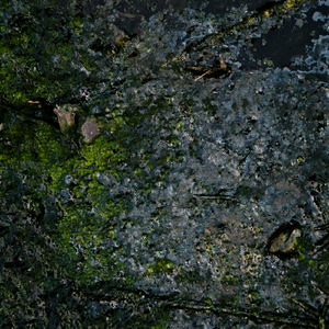 Soul Gravity (Francesco Assenza Lamas Remix)