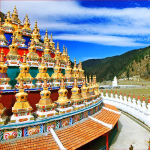 玲珑寺邬金曲扎仁波切