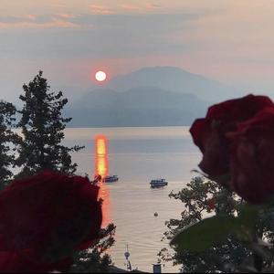 浪漫主义小黄歌 (cover: 姜云升)（翻自 姜云升）