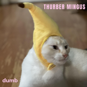 Dumb (Alternate Version)
