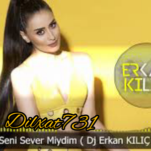Seni Sever Miydim ( Dj Erkan KILIÇ Remix )