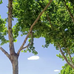 天龙八部之宿敌