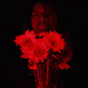 Sade Freestyle (KOS)