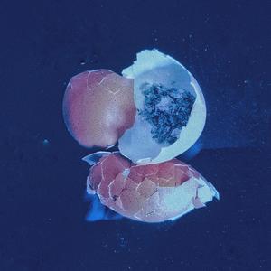 et nihil humanum......