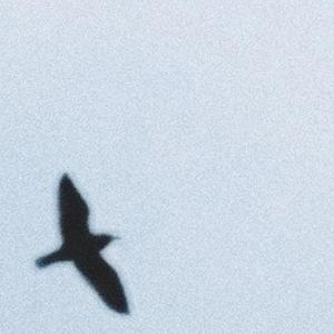 natura (maladaptive daydream)