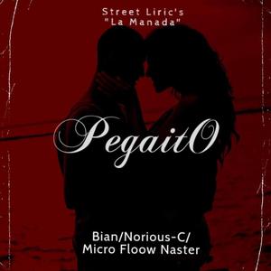 Pegaito (feat. Norious c & Micro Floow Naster)