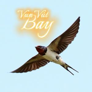 Vun Vút Bay