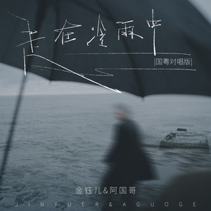 走在冷雨中 (国粤对唱版)