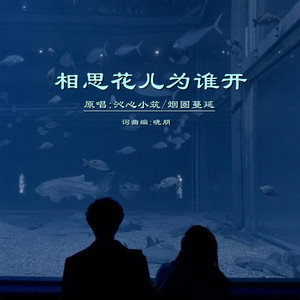相思花儿为谁开DJ (对唱版)