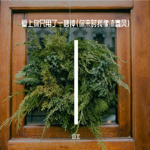 爱上你只用了一秒钟(你来时我像沐春风)