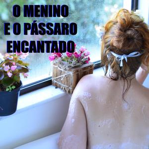 O Menino e o Pássaro Encantado