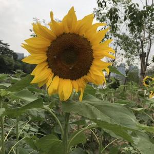 Various Artists-Thepowerofpleasure（DJ可乐 remix）