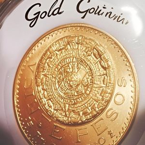 Gold Coin (Prod.by A$layer）