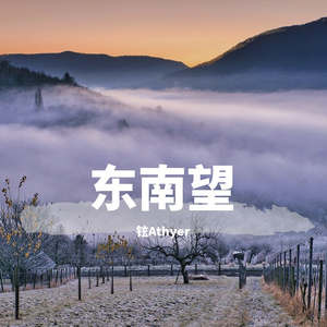 东南望