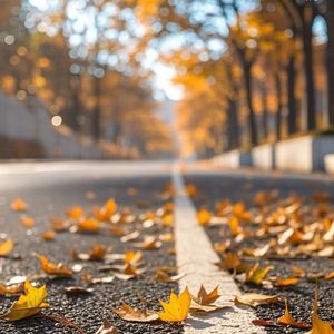 秋风拂面开始想念 MMM