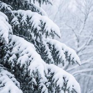 不能不想你 (Cover 浮生未歇)