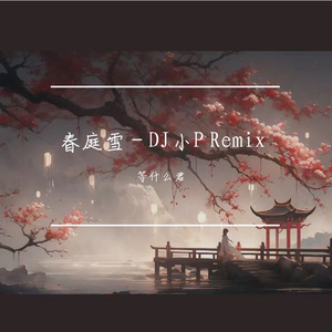 邓寓君-等什么君 - 春庭雪 (DJ小P 无心睡眠鼓 Remix V2)