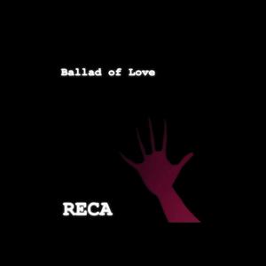 Birds in the summer day