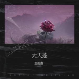 希望你被这个世界爱着