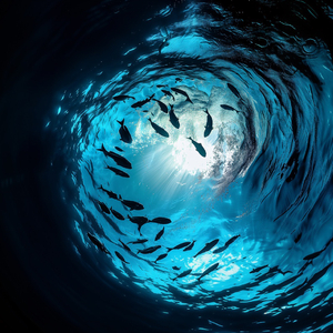 爱河 （Cover：ZaZaZsu）男生版